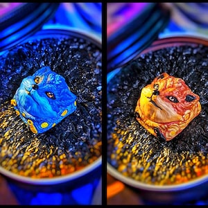 Puede incluir: Dos teclas personalizadas con caras de animales. La tecla de la izquierda es azul con una cara blanca y detalles amarillos. La tecla de la derecha es roja con una cara blanca y detalles dorados.