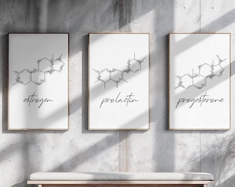 Lactation Consultant Gift Wall Art| Breastfeeding Poster| Birth Worker Midwife Office Décor| Breast Hormone Printable| New Moms Pregnancy