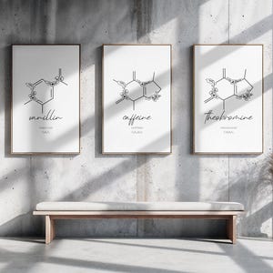 May include: Three framed prints featuring line drawings of chemical structures, labelled "vanillin," "caffeine," and "theobromine." The prints hang on a concrete wall above a wooden bench, with a vase of dried plants and a window.