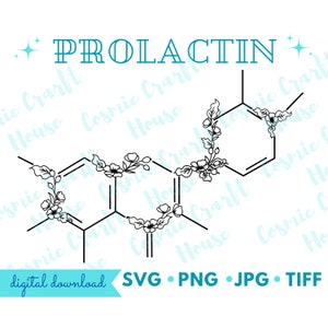 Puede incluir: Un dibujo en blanco y negro de la estructura química de la prolactina, una hormona, con adornos florales. El texto "PROLACTIN" está en la parte superior de la imagen.