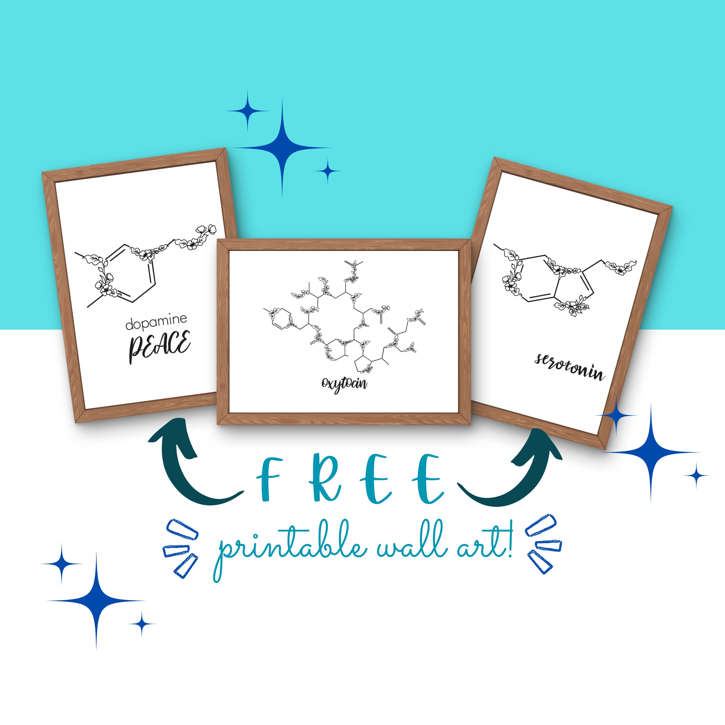 Floral SVG Bundle | Flower Molecules Clipart | Chemical Structure ...