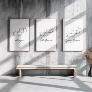 May include: Three framed prints with molecular structures and handwritten text. The prints are labeled "estrogen", "testosterone", and "progesterone". The frames are a light brown color. The prints are displayed on a concrete wall above a wooden bench.