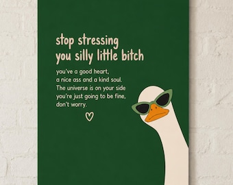 May include: A dark green rectangular wall art print featuring a white goose wearing green sunglasses. The text reads: stop stressing you silly little bitch, you've a good heart, a nice ass and a kind soul. The universe is on your side you're just going to be fine, don't worry. A small heart icon is included.