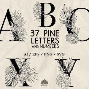 Alphabet Letters Svg Bundle Pine Alphabet Svg Letters and Numbers Svg Christmas Floral Alphabet Winter ABC Pinecones Pine branches Monogram