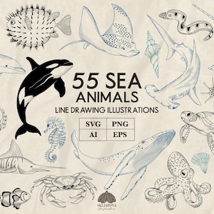 Zeedieren Svg bundel vissen Svg Oceaan leven Svg Marine Svg zeeleven Svg zeedieren Svg nautische Svg Under The Sea lijntekening kunst Png