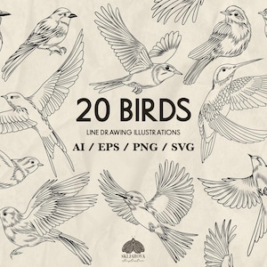 Bundle Svg oiseaux Colibri Svg hirondelle Svg moineau Svg geai Svg dessin au trait oiseau contour Svg oiseau en vol Silhouette dessin animé