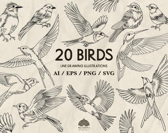 Dieren SVG-bundel: 20 vogels lijntekeningen vectorillustraties (+PNG, EPS)