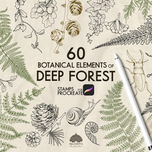 Könnte beinhalten: Eine digitale Sammlung mit dem Titel 60 BOTANICAL ELEMENTS OF DEEP FOREST STAMPS FOR PROCREATE mit schwarzen und grünen Strichzeichnungen von Farnen, Tannenzapfen, Eicheln, einem Hirschkäfer, einer Schnecke und Pilzen auf einem strukturierten beigen Hintergrund.