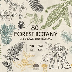 May include: An illustration showcasing 80 forest botany line-drawn illustrations. The image includes various botanical elements such as ferns, leaves, and branches in green, black, and gold tones. The text "80 FOREST BOTANY LINE DRAWN ILLUSTRATIONS" is displayed.