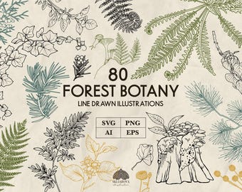森林植物学SVGバンドル：80点の植物細線イラスト（+Png、Eps、Ai）