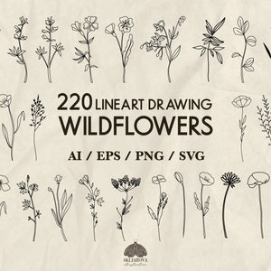 220 fleurs sauvages Svg Bundle herbes verdure Marguerite pavot bleuet Lavande fleurs Cricut Floral minimaliste botanique fleurs Silhouette