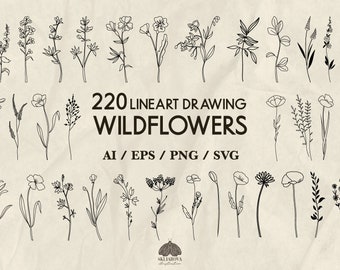 May include: A set of 220 line art drawings of wildflowers. The drawings are in black and white and are perfect for use in digital or print projects. The text "220 LINEART DRAWING WILDFLOWERS AI / EPS / PNG / SVG" is included in the image.