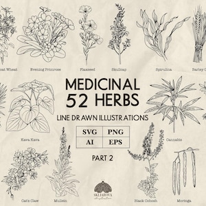Medicinal Herbs Svg Bundle Part 2: Healing Plants and Superfood Illustration (+ Png, Eps, Ai)