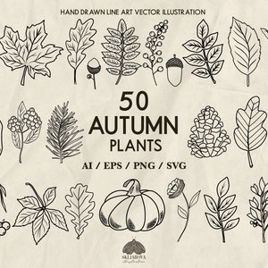 Paquete de Svg de otoño, arte lineal botánico de otoño, Svg, hojas, contorno, flores, diseños dibujados a mano, Svg de otoño, Svg floral, plantas, piña, bellota, baya