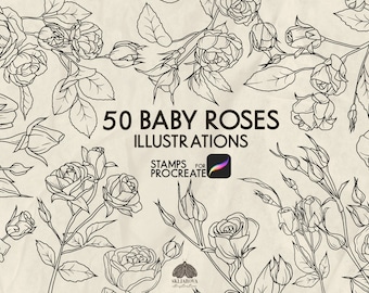 Rosen Stempel für Procreate: 50 Botanische Line Art Pinsel (Procreate iPad Nur)