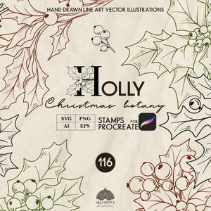 Kerst Svg-bundel botanische lijntekening Holly Tree SVG Winter bloemen gesneden bestand voortplanten stempel borstels Hulst bladeren bessen Vector PNG