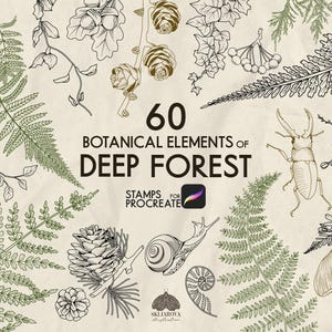 Puede incluir: Una ilustración con 60 elementos botánicos del bosque profundo. La imagen incluye dibujos detallados de helechos, flores, piñas, insectos y otros elementos naturales. Se muestra el texto "60 Botanical Elements of Deep Forest".