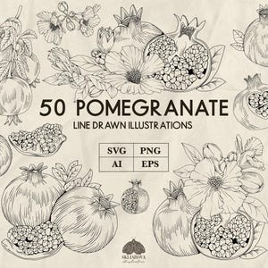 Può includere: Un set di 50 disegni a linea di melograni e fiori. Le illustrazioni sono in bianco e nero e mostrano diverse viste del frutto, tra cui melograni interi, melograni aperti e semi di melograno. I fiori sono anche disegnati in dettaglio, con petali, steli e foglie.