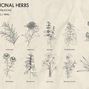 May include: Line-drawn illustrations of 50 medicinal herbs, including rosemary, echinacea, and aloe. The image features detailed botanical drawings with the names of each herb beneath. Text at the top reads "50 MEDICINAL HERBS" and "LINE DRAWN ILLUSTRATIONS."