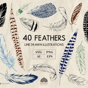 May include: An assortment of 40 line-drawn feather illustrations in various colors and patterns, including black, blue, brown, and green. The image includes the text "40 FEATHERS LINE DRAWN ILLUSTRATIONS" and file type icons for SVG, PNG, AI, and EPS.