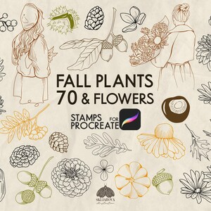 Op de afbeelding: Illustratie met herfstplanten en bloemen, waaronder bladeren, eikels en chrysanten. De tekst "FALL PLANTS 70 & FLOWERS" wordt weergegeven, samen met het logo "STAMPS for PROCREATE". De afbeelding heeft een vintage, geschetste stijl.