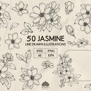 ジャスミン SVG バンドル 手描きのジャスミンの花 Png 花の線画 植物の線画 分割フレームと花輪のアウトライン ベクターイラスト