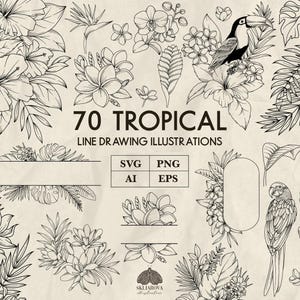 Bundle Svg tropical fleurs plantes tropicales Svg Floral dessin au trait botanique dessin au trait jungle Monstera Svg été clipart dessinés à la main vecteur