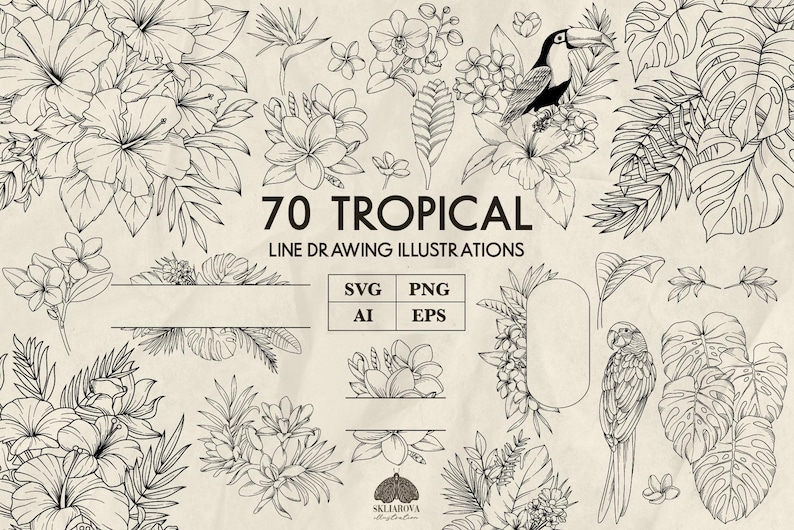 Peut inclure: Un ensemble de 70 dessins au trait en noir et blanc de plantes, fleurs et animaux tropicaux. Les illustrations comprennent des fleurs d'hibiscus, des feuilles de palmier, des orchid&eacute;es, des toucans et des perroquets. Le texte "70 Tropical Line Drawing Illustrations" est &eacute;crit au centre de l'image. Les formats de fichiers SVG, PNG, AI et EPS sont list&eacute;s sous le texte.