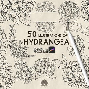 May include: A digital collection of 50 black and white line art illustrations of hydrangea flowers, featuring various floral clusters, bouquets, and foliage designs, accompanied by a white digital stylus on a textured off-white background.