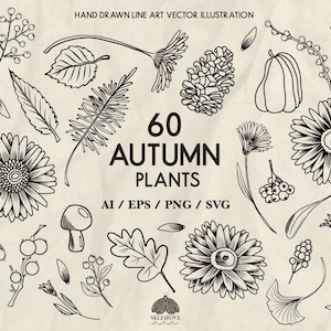 Bundle Svg automne Dessin au trait botanique automne Feuilles Svg contour Fleurs dessins dessinés à la main Dessin au trait floral Svg plantes Pomme de pin Acorn Berry