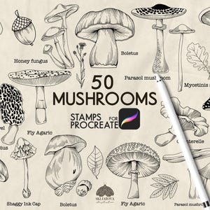 May include: A digital illustration set titled 50 MUSHROOMS STAMPS FOR PROCREATE featuring various black and white line art drawings of mushrooms like Boletus, Fly Agaric, and Morel, with a white stylus pen positioned diagonally across the page.