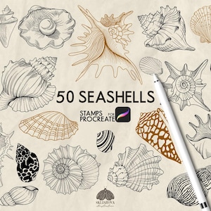 May include: A digital collection of 50 seashell illustrations featuring various species in black and brown line art. The text 50 SEASHELLS STAMPS FOR PROCREATE is centered among the shells, accompanied by a white digital stylus pen.