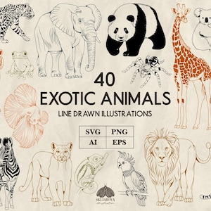 May include: An illustration featuring 40 exotic animals, including a leopard, elephant, panda, giraffe, and tiger. The image includes the text "40 Exotic Animals Line Drawn Illustrations" and file type icons for SVG, PNG, AI, and EPS.