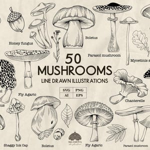 Mushrooms Svg bundle Autumn mushroom line drawing Png Forest mushrooms illustration outline Fungus Boletus Fly agaric Chanterelle line art