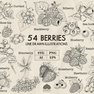 Bundle de petits fruits Svg myrtille Svg fraise Svg framboises Svg baie de sureau Svg canneberges Svg groseille