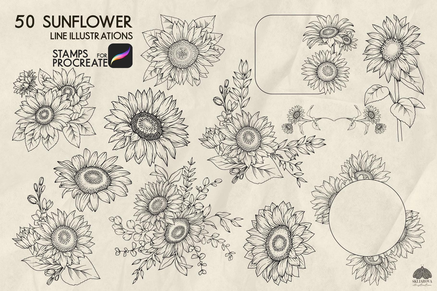 Sunflower Procreate Stamps: 50 Flower Line Art Brushes (procreate iPad ...
