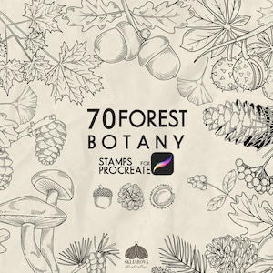Wald Blumen Procreate Stempel Pflanzen Stempel Bürsten für Procreate Botanische Stempel Blätter Kieferzapfen Eichel Pilz Beere Procreate Bürste