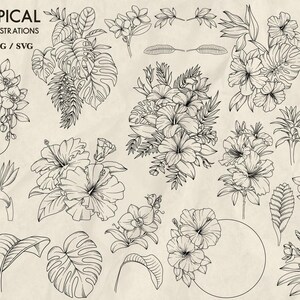 Peut inclure: Un ensemble de 70 dessins au trait en noir et blanc de fleurs et de feuilles tropicales. Les illustrations comprennent l'hibiscus, les orchid&eacute;es, les feuilles de palmier et d'autres feuillages tropicaux.