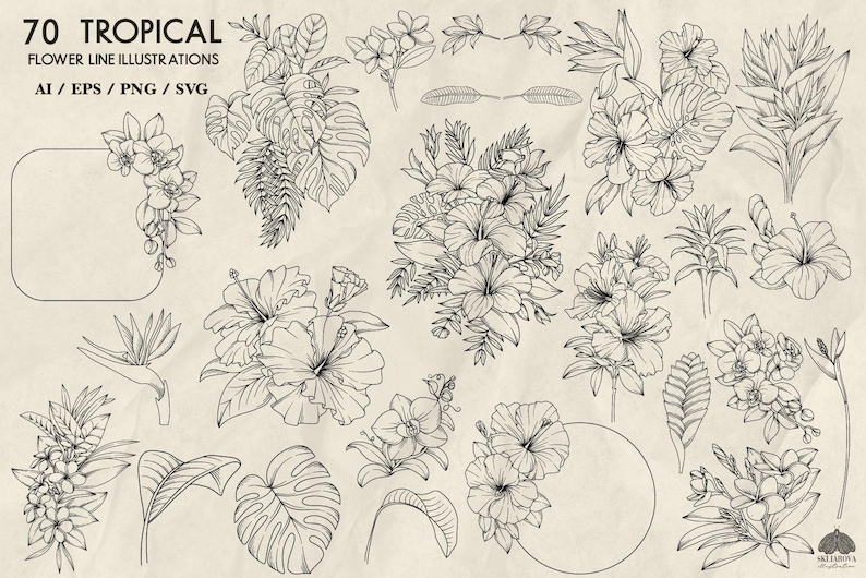Peut inclure: Un ensemble de 70 dessins au trait en noir et blanc de fleurs et de feuilles tropicales. Les illustrations comprennent l'hibiscus, les orchid&eacute;es, les feuilles de palmier et d'autres feuillages tropicaux.