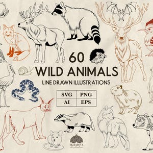 Op de afbeelding: Lijntekeningen van 60 wilde dieren, waaronder een eland, vos, wasbeer, hert, uil en beer. De dieren zijn in zwart en bruin op een beige achtergrond getekend. De tekst luidt "60 WILD ANIMALS LINE DRAWN ILLUSTRATIONS".