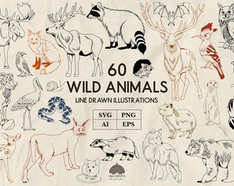 Dierenlijntekeningen SVG-bundel: 60 illustraties van wilde dieren (+ png, eps)