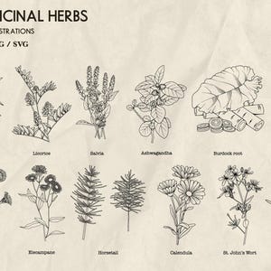 May include: Line-drawn illustrations of 50 medicinal herbs, including Comfrey, Licorice, Salvia, Ashwagandha, Burdock root, and Rhodiola roses. The image also features Coltafoot, Elecampane, Horsetail, Calendula, St. John's Wort, and Cayenne. The text reads "50 Medicinal Herbs".