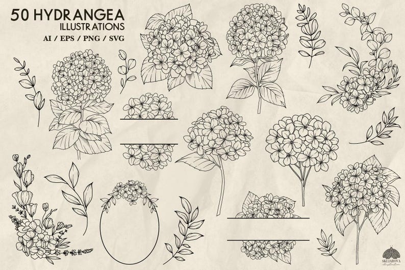 Hydrangea Svg Bundle Line Drawing Hydrangea Flower Wreath Svg Frame ...