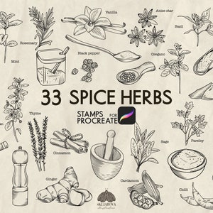 Op de afbeelding: Een zwart-witte illustratieset van 33 kruiden- en specerijenstempels voor Procreate. De set bevat afbeeldingen van veelvoorkomende kruiden en specerijen, zoals basilicum, laurierblad, kaneel, kruidnagel, koriander, gember, nootmuskaat, oregano, peterselie, rozemarijn, salie, tijm en kurkuma.