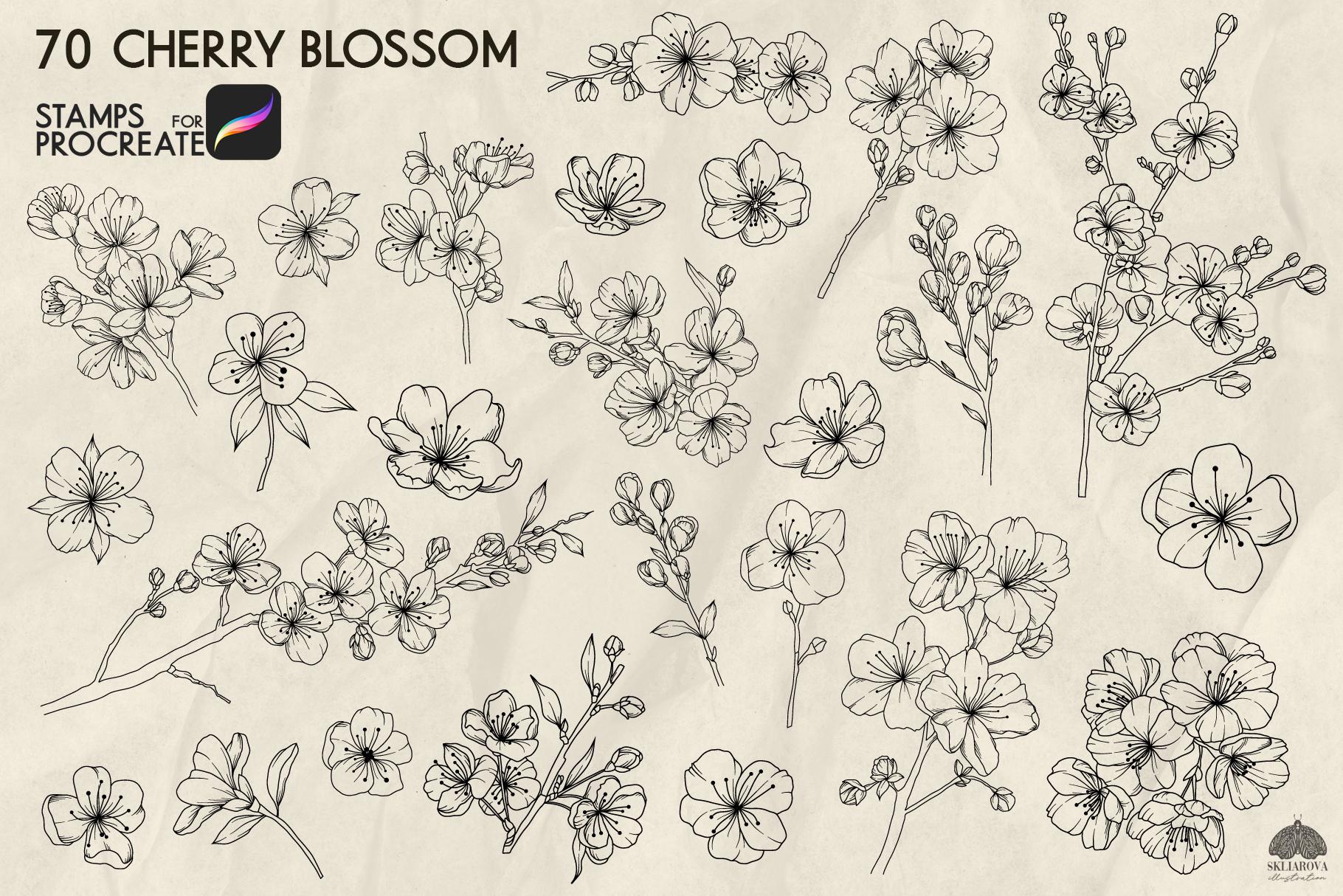 Cherry Blossom Stamps for Procreate: 70 Floral Spring Line Art Brushes ...