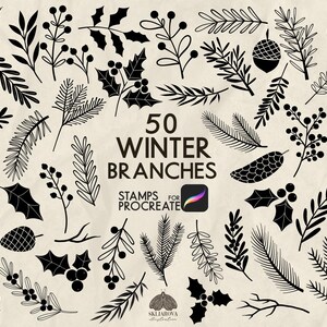 May include: A set of 50 black and white winter branch illustrations for Procreate. The illustrations include pine branches, holly, berries, and other winter foliage.