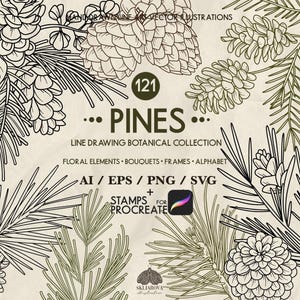 Pacchetto Svg Botanico Pigna Svg Disegno a tratteggio della flora Rami di pino Svg Disegno a tratteggio floreale Pigna Piante della foresta Cornici Svg Alfabeto floreale Svg