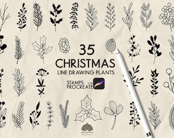 May include: A digital collection of 35 black line drawing plant illustrations featuring various Christmas-themed botanical elements like holly, pine needles, and berries, with the text 35 CHRISTMAS LINE DRAWING PLANTS STAMPS FOR PROCREATE.