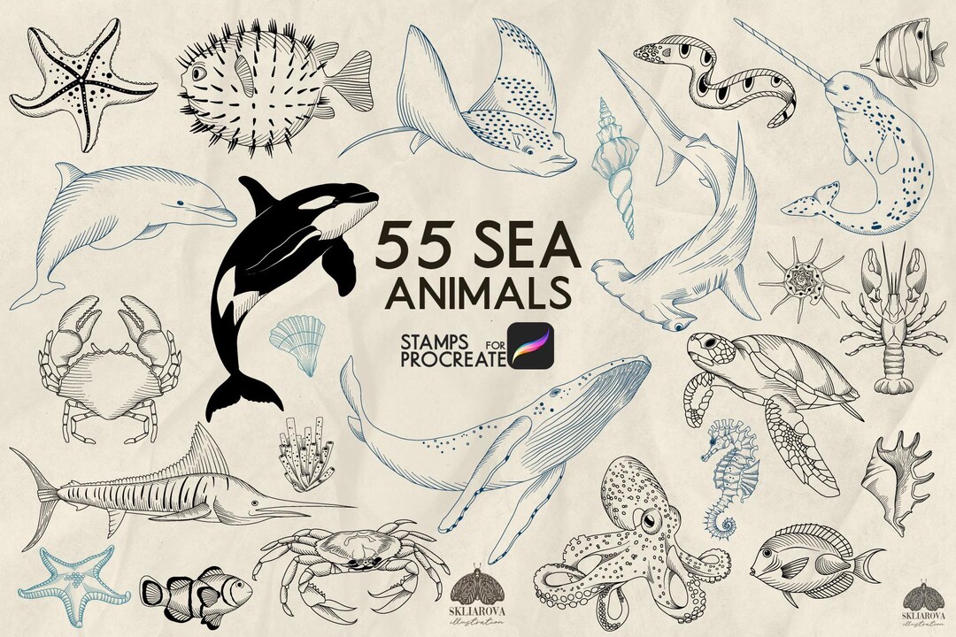 Sea Animals Stamps for Procreate: 55 Ocean Life Line Art Brushes ...