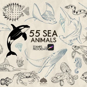 海の動物 Procreate スタンプ 魚のスタンプ Procreate 用ブラシ 海洋生物 海洋生物 海の生き物 海中 線画